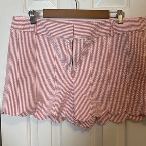 Loft shorts size 14